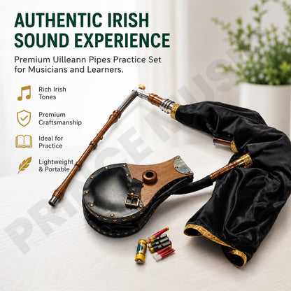 Irish Uilleann Pipe Practice Set - Rosewood - Includes Bellows and Reeds by PM